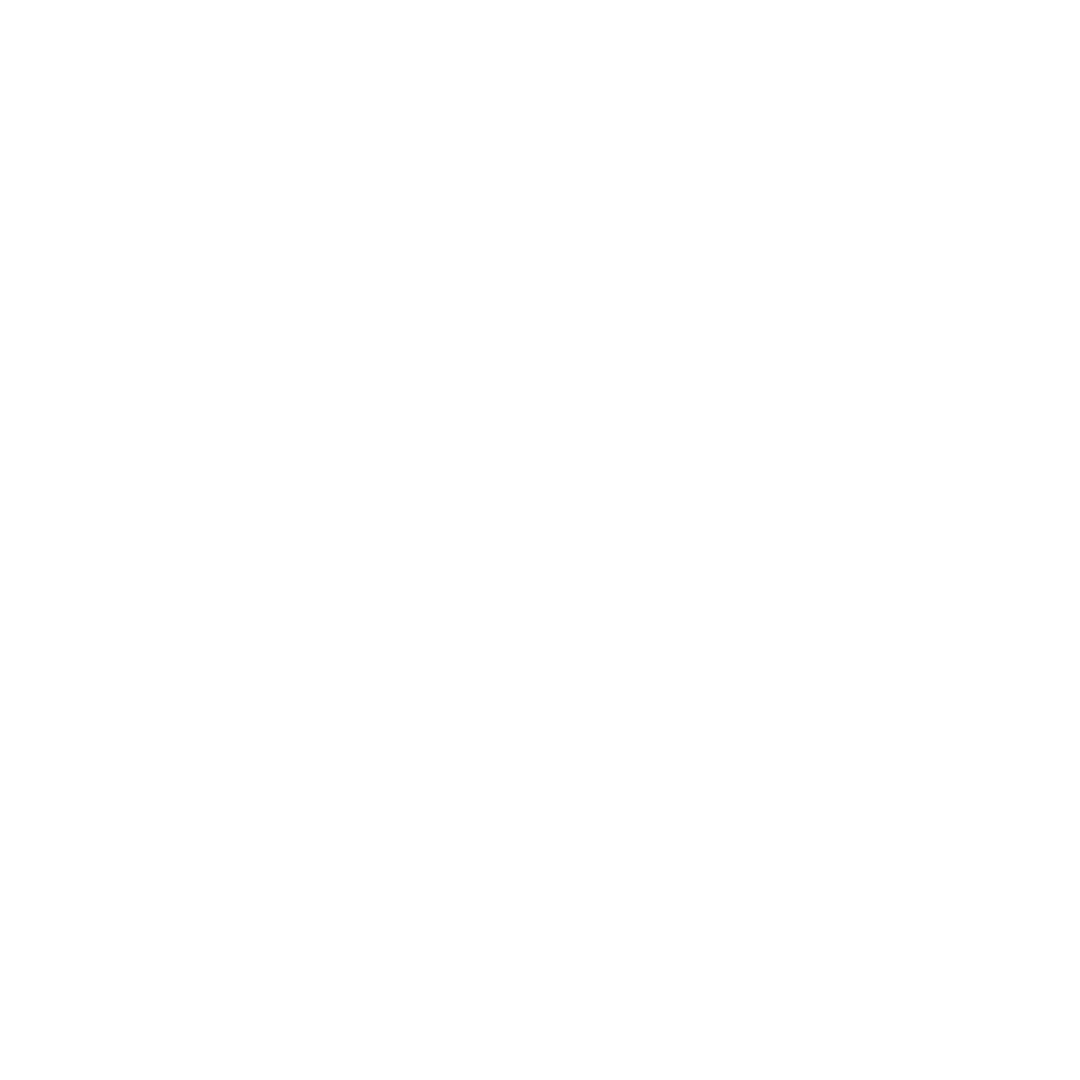 Experienced Recruitment Consultants